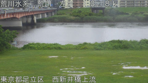 arani2026061813_image