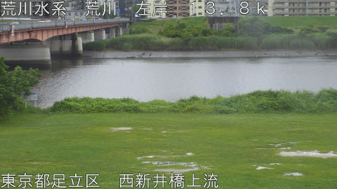 arani2026061814_image