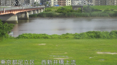 arani2026061816_image