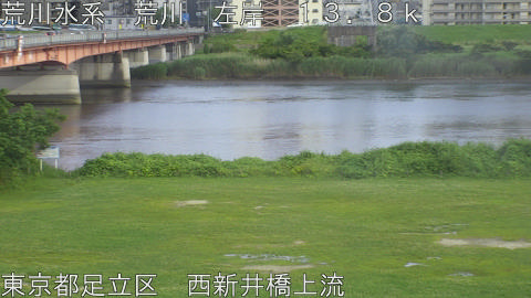 arani2026061817_image