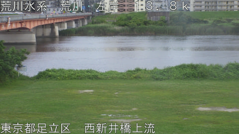 arani2026061819_image
