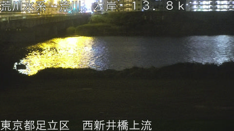 arani2026061823_image