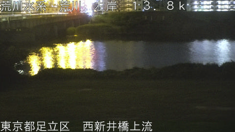 arani2026061901_image