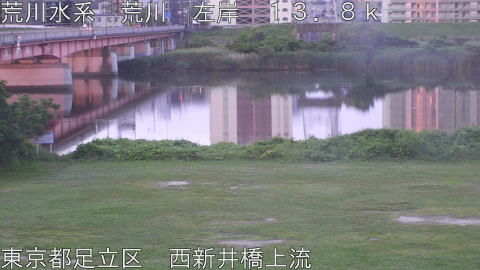 arani2026061905_image