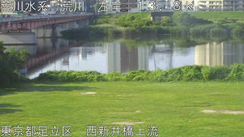 arani2026061907_image