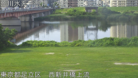 arani2026061908_image