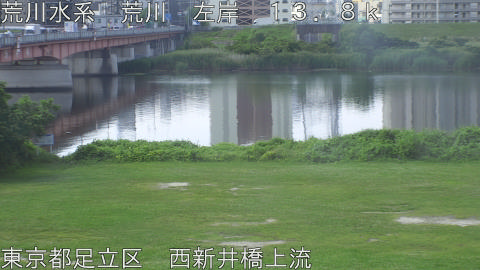 arani2026061909_image