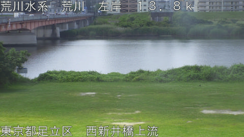 arani2026061910_image