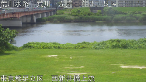 arani2026061911_image