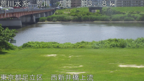 arani2026061912_image