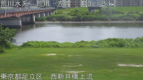 arani2026061913_image