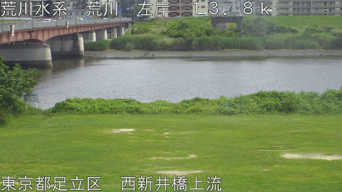 arani2026061914_image