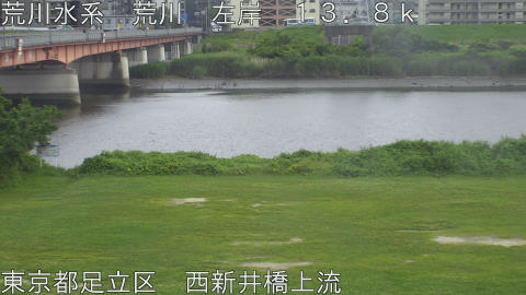 arani2026061915_image