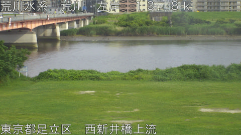arani2026061916_image