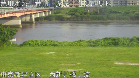 arani2026061917_image