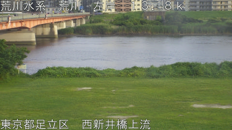arani2026061918_image