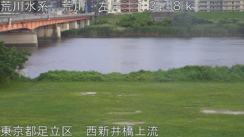 arani2026061919_image