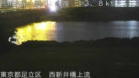 arani2026061922_image