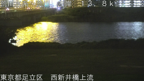 arani2026061923_image