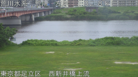 arani2026062007_image