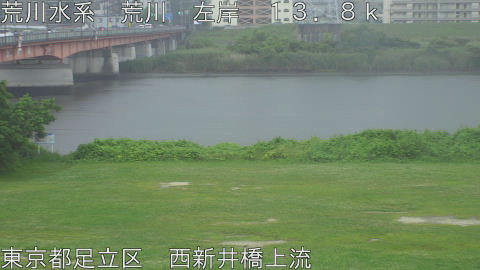 arani2026062013_image