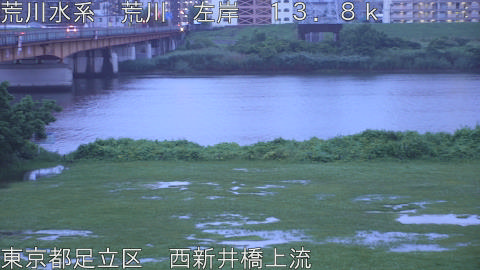 arani2026062105_image