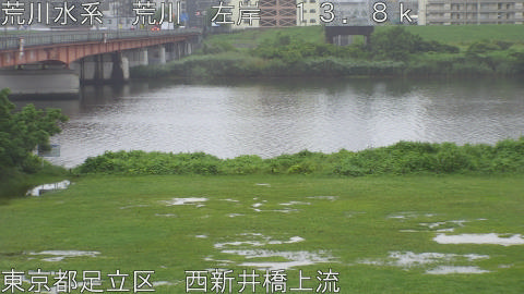 arani2026062106_image