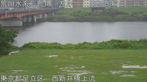 arani2026062108_image