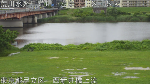 arani2026062111_image