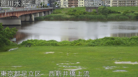 arani2026062112_image