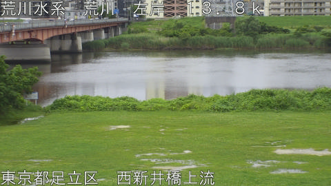 arani2026062113_image