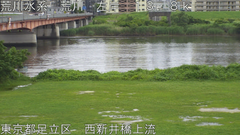arani2026062114_image