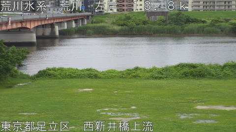arani2026062115_image