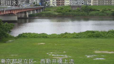 arani2026062116_image
