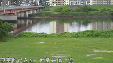 arani2026062117_image