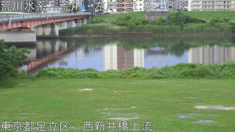 arani2026062118_image