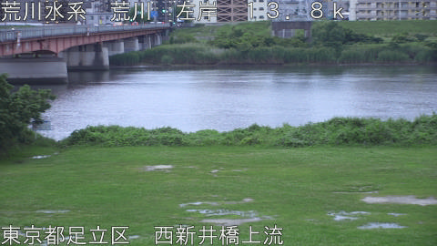 arani2026062119_image