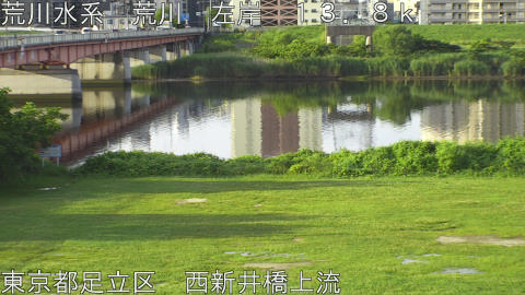 arani2026062206_image
