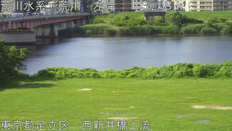 arani2026062208_image