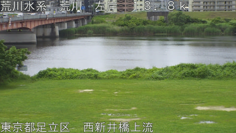 arani2026062211_image