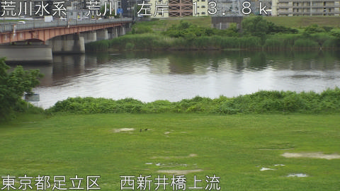 arani2026062213_image