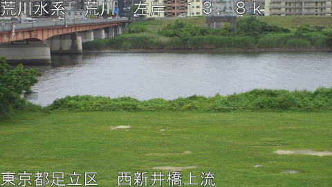 arani2026062217_image
