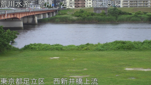 arani2026062218_image