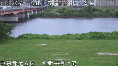 arani2026062219_image