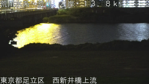 arani2026062303_image