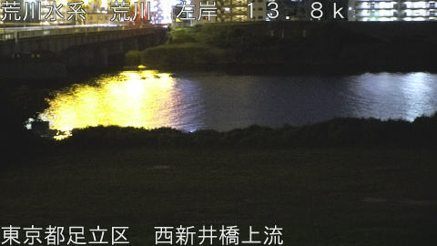 arani2026062304_image