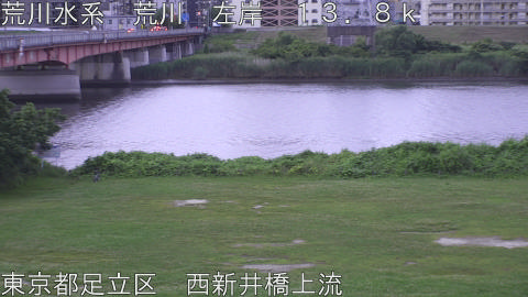 arani2026062305_image