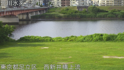 arani2026062307_image