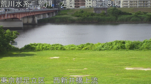 arani2026062308_image
