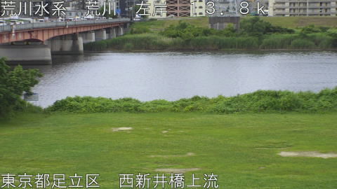 arani2026062309_image